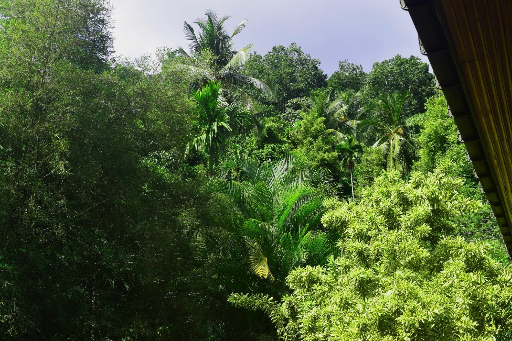 Avaana By Springhills Hotel Kandy Exterior foto