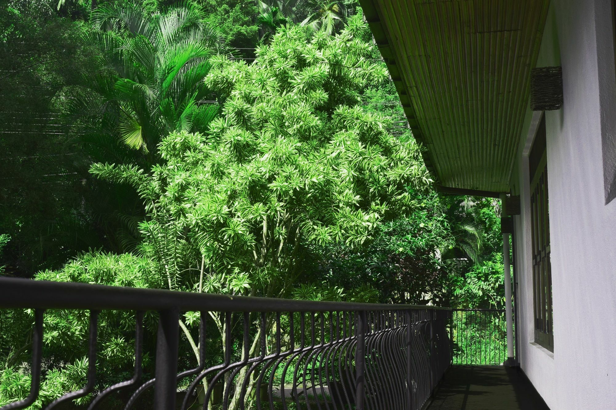 Avaana By Springhills Hotel Kandy Exterior foto