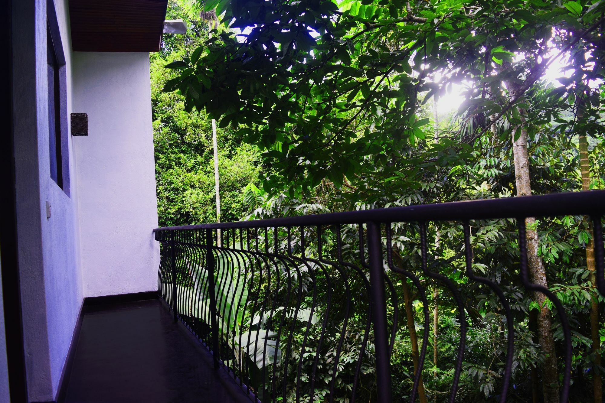 Avaana By Springhills Hotel Kandy Exterior foto