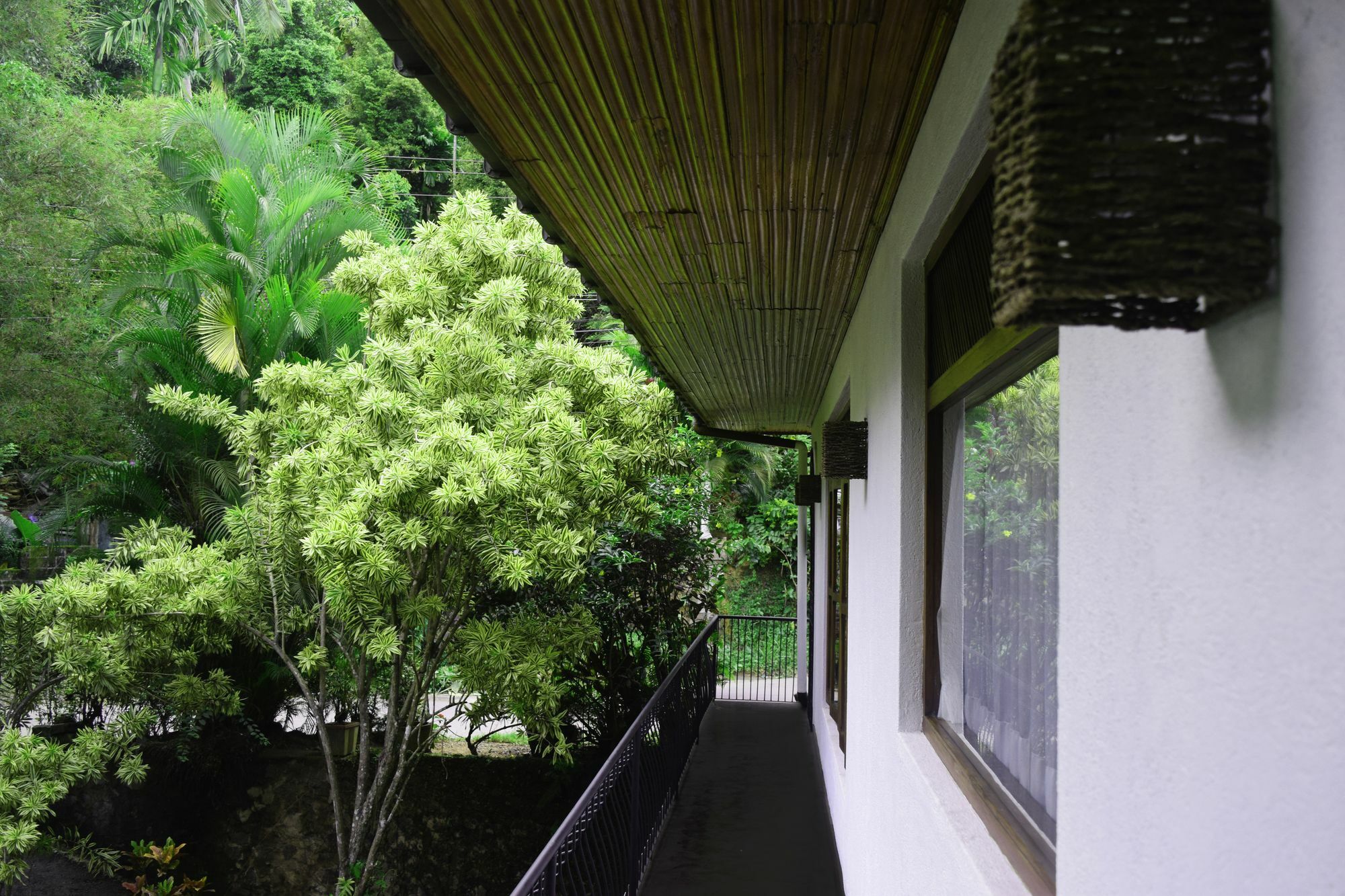 Avaana By Springhills Hotel Kandy Exterior foto